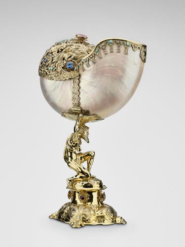 Nautilus cup Nautilus cup