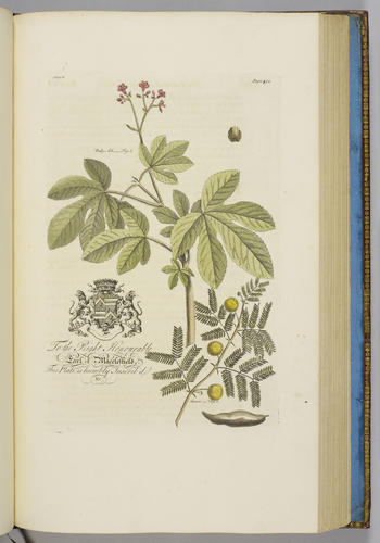 The Natural history of Barbados, in ten books / by Rev. Griffith Hughes The Natural history of Barbados, in ten books / by Rev. Griffith Hughes