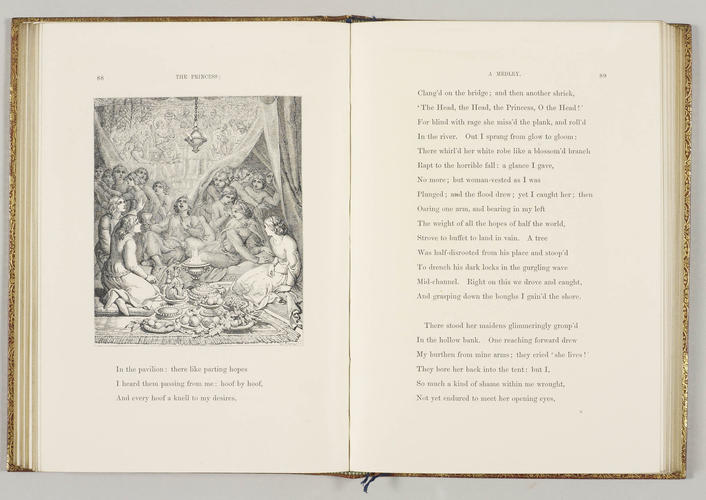The Princess : a medley / by Alfred Tennyson The Princess : a medley / by Alfred Tennyson