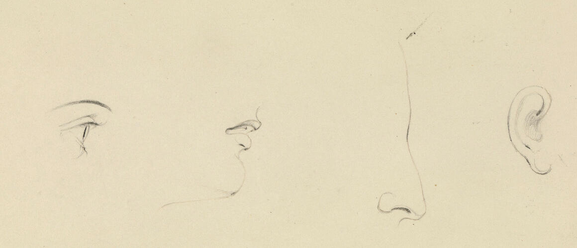 Studies of facial features
