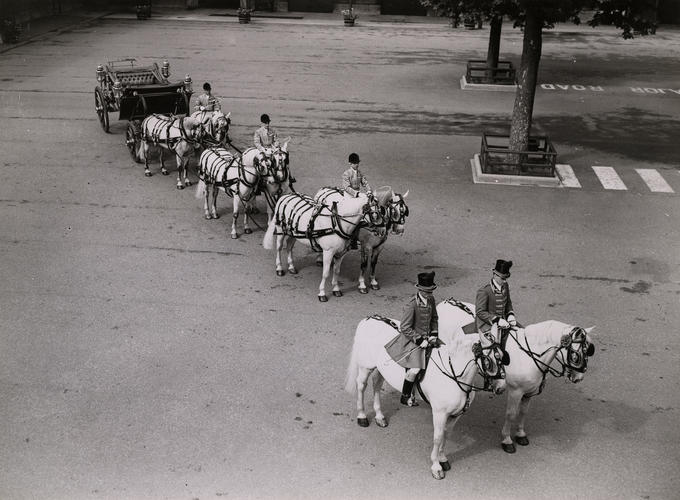 State Landau