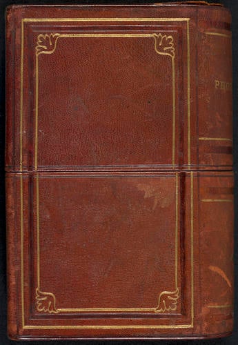 Decorative album shaped box containing cartes-de-visite photographs Decorative album shaped box containing cartes-de-visite photographs