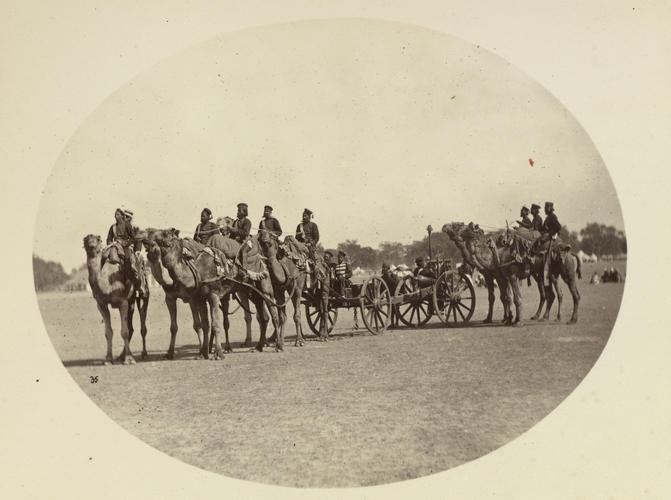 The Camel Artillery of the Maharajah of Alwar