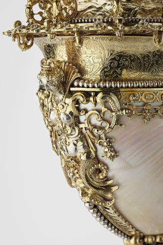 Nautilus cup Nautilus cup