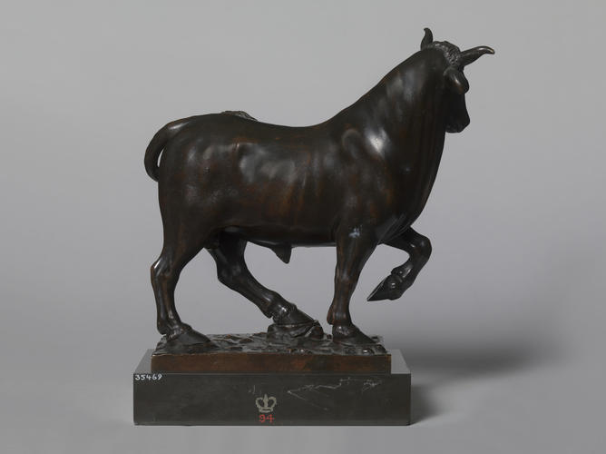 Bull