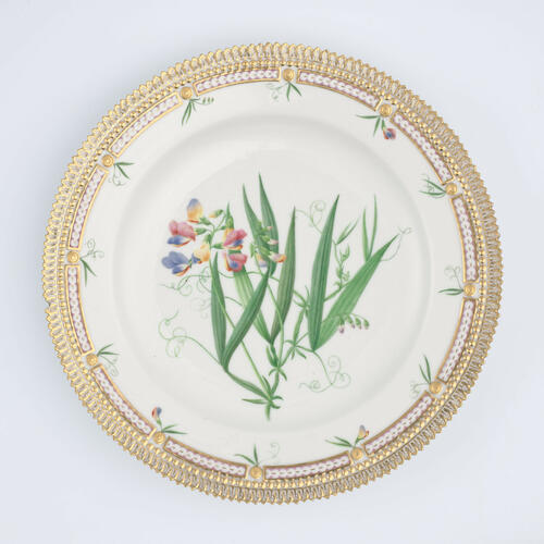 Master: Set of dinner plates
Item: Lathyrus silvestris