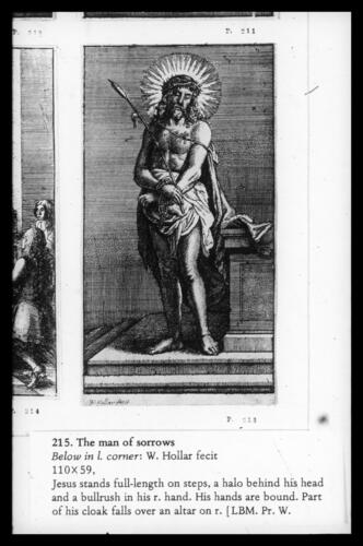 The man of sorrows