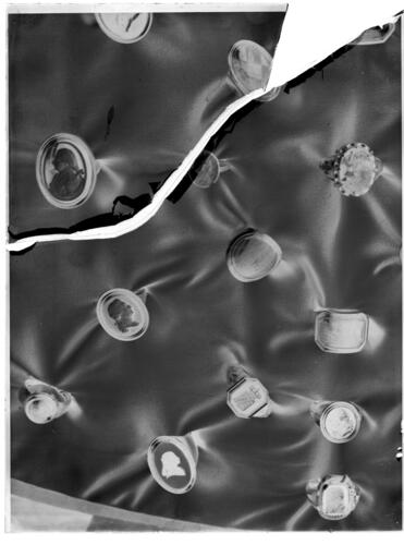 Glass plate negative of Rings in case D, King's Audience Room Glass plate negative of Rings in case D, King's Audience Room