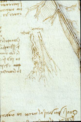 The veins of the arm; and notes on the death of a centenarian