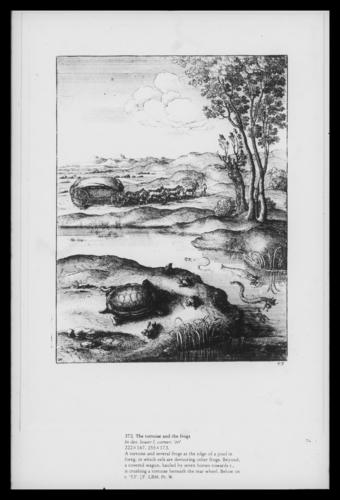 The tortoise and the frogs The tortoise and the frogs