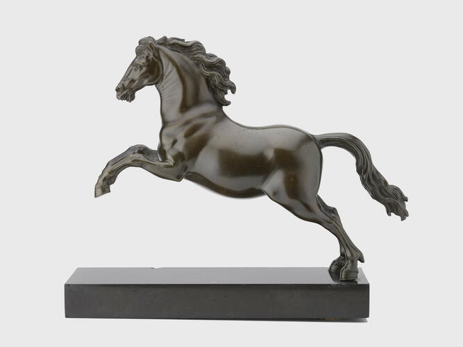 Rearing horse