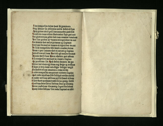 [Commentary on Alexander of Villedieu's Doctrinale]