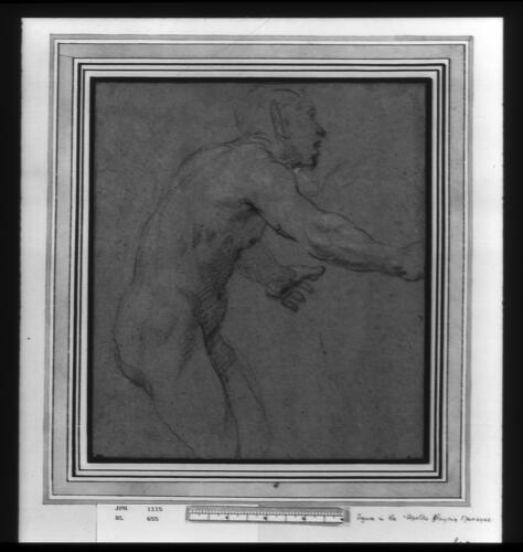 A male nude, turned to the right