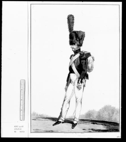 Belgian Troops. 'Grenadier d'Élite, 1815' Belgian Troops. 'Grenadier d'Élite, 1815'