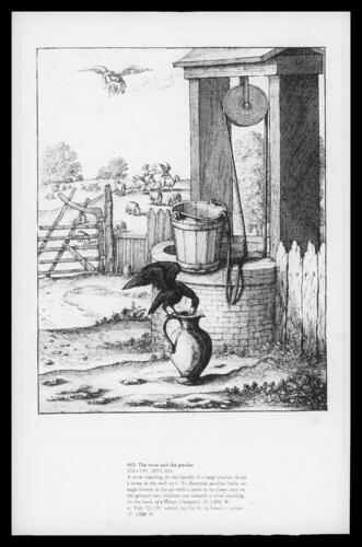 The crow and the pitcher The crow and the pitcher