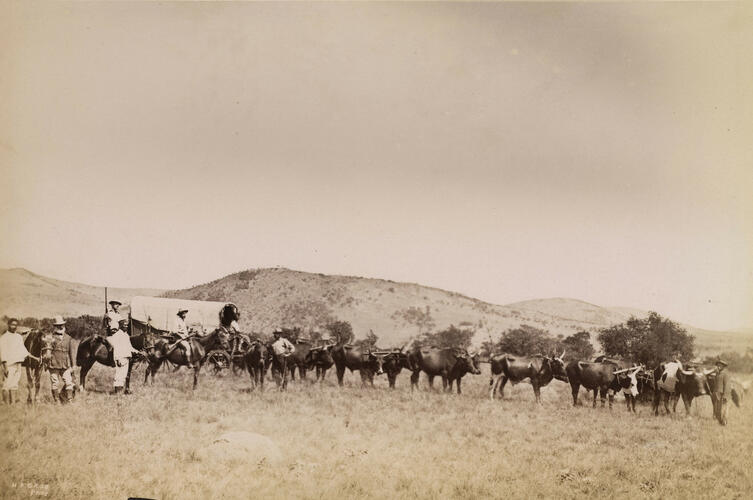 Travelling wagon in the Transvaal Colony Travelling wagon in the Transvaal Colony