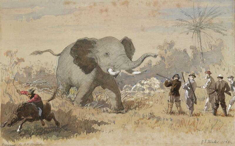 The Duke of Edinburgh's elephant hunt, 13 September 1867: 'The Charge'