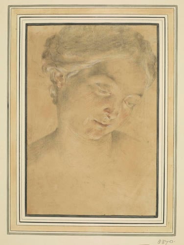 The head of a young woman The head of a young woman
