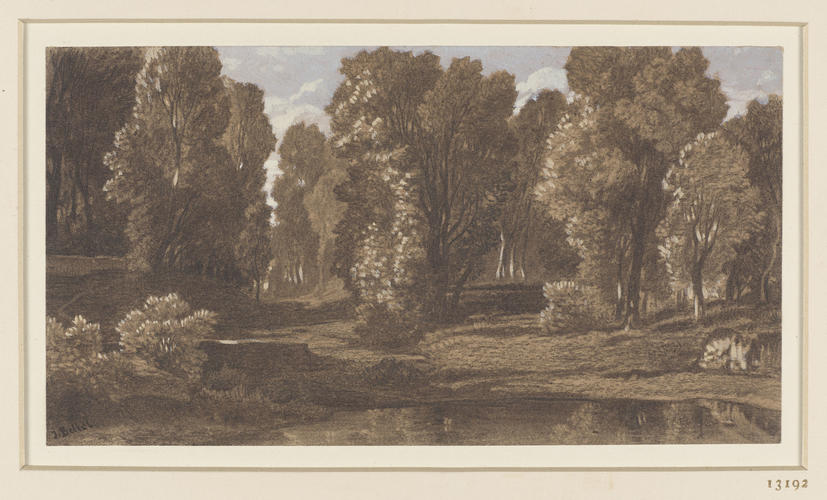 Woodland landscape with water in foreground