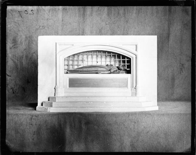 Glass plate negative Glass plate negative