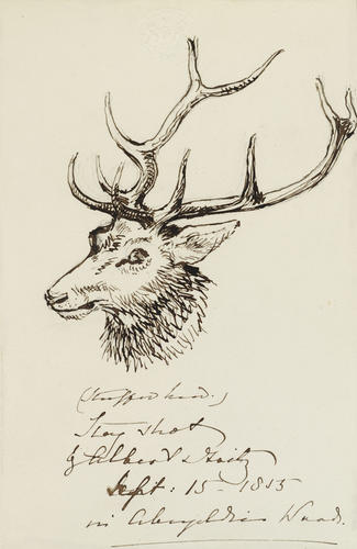 Stag shot by Albert & Fritz Sept: 15 - 1855 in Abergeldie Woods