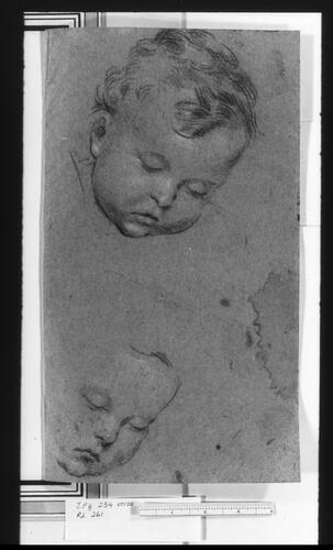 Recto: a male head upturned to the right. Verso: two studies of the head of a putto