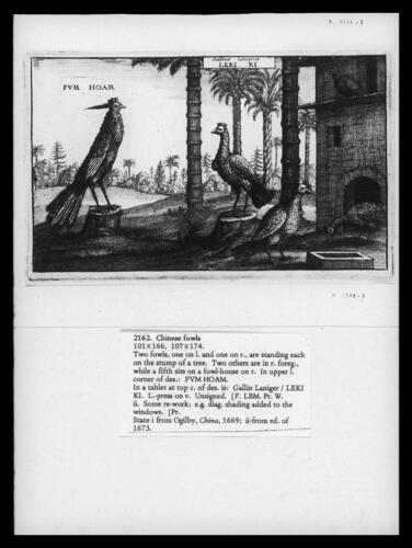 Chinese Fowls Chinese Fowls
