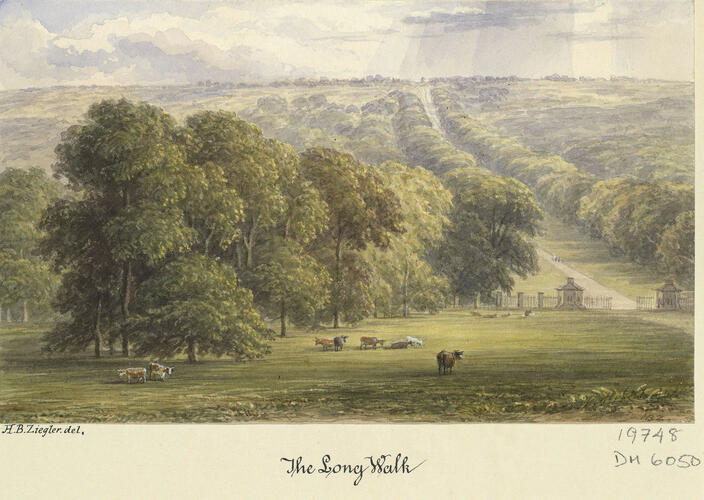 Windsor: the Long Walk