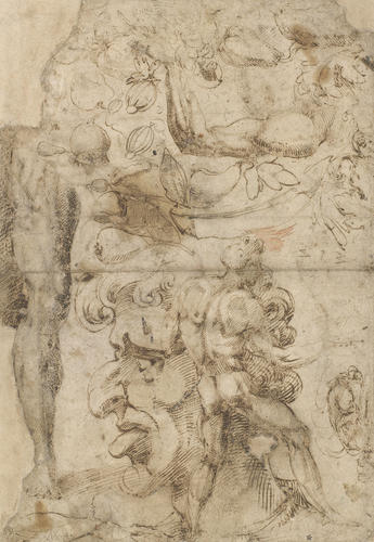 Recto: A sheet of studies including a grotesque head in profile. Verso: A study of an arm and should, and an unfinished profile Recto: A sheet of studies including a grotesque head in profile. Verso: A study of an arm and should, and an unfinished profile