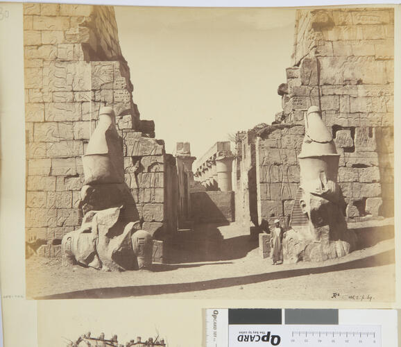 Giant busts of Rameses II, Luxor, Egypt