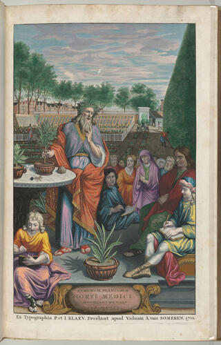 Horti medici Amstelodamensis rariorum, tam orientalis, quam occidentalis Indiae, aliarumque peregrinarum plantarum . . . descriptio et icones ; t. 2 / by Joannes Commelinus ; edited by Fredericus Ruyschius and Franciscus Kiggelarius