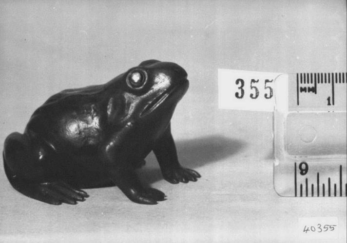 Frog