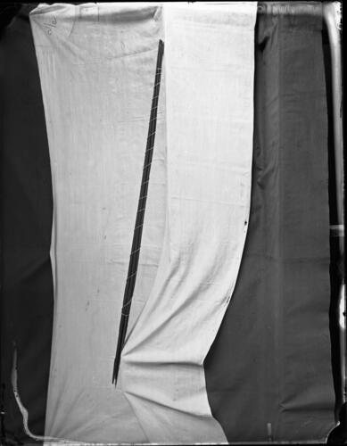 Glass plate negative of Zulu spears (assegais) Glass plate negative of Zulu spears (assegais)