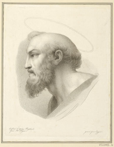 Master: Set of five prints reproducing heads from 'The Disputa'
Item: Head of St Paul [from 'The Disputa']