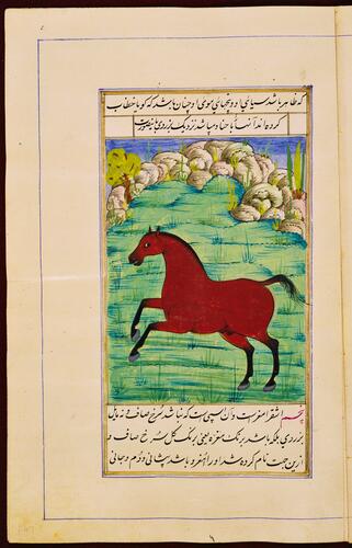 Farasnamah فرسنامه (A Treatise on Horses) and Dawlatnamah دولتنامه (A Treatise on Falcons)