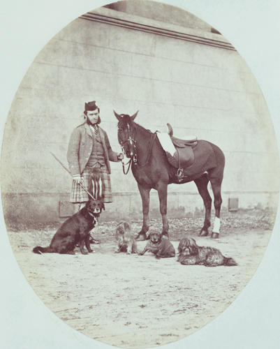 Andrew Thomson with Sultan the pony and four dogs