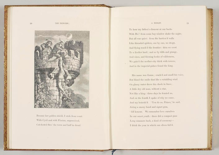The Princess : a medley / by Alfred Tennyson The Princess : a medley / by Alfred Tennyson
