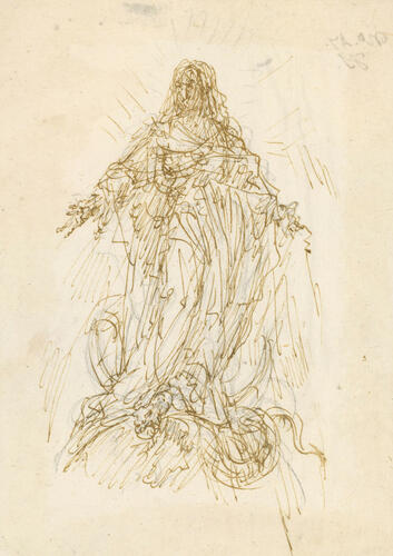The Immaculate Conception The Immaculate Conception