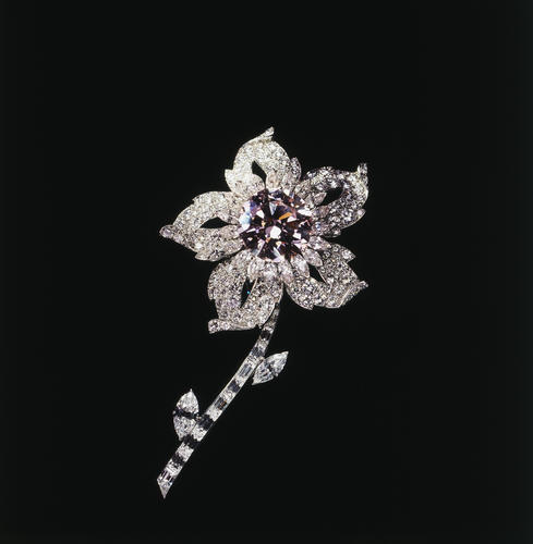 Williamson diamond brooch