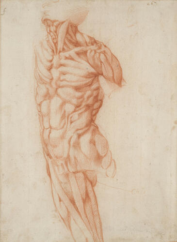 A flayed figure