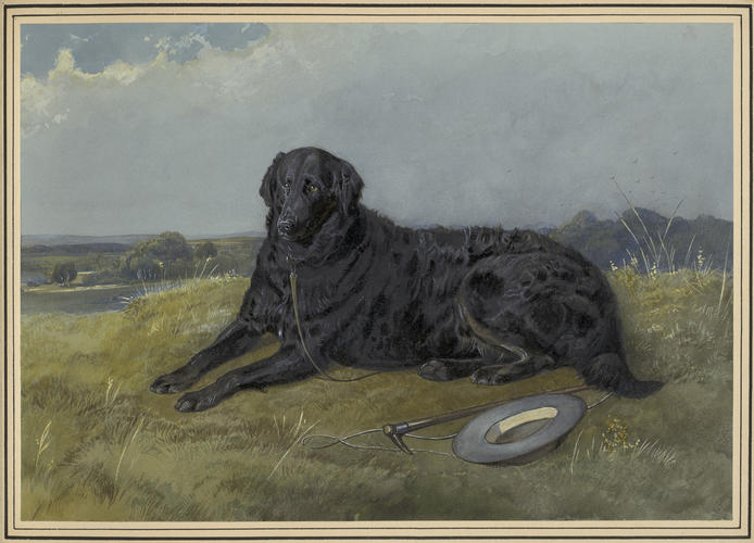 Duck. A retriever belonging to the Prince of Wales. 1852