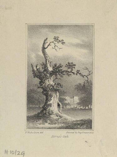 Herne's Oak Herne's Oak