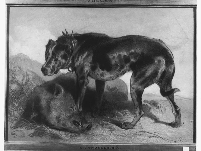 Vulcan and a dead boar Vulcan and a dead boar