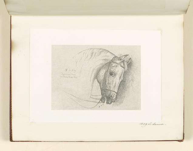 Master: Collection of Etchings done by Ferdinand King of Portugal, 1840.
Item: A horse