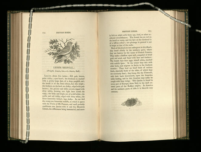 History of British birds ; v. 1 containing the history and description of land birds / the figures engraven on wood by T Bewick History of British birds ; v. 1 containing the history and description of land birds / the figures engraven on wood by T Bewick