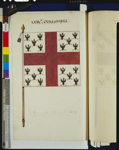 Drawings of the Colours and Standards of the British Army : Tempore James II &c. &c. &c