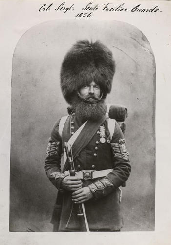 Colour Sergeant William McGregor Colour Sergeant William McGregor