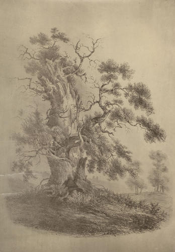 Herne's Oak Herne's Oak