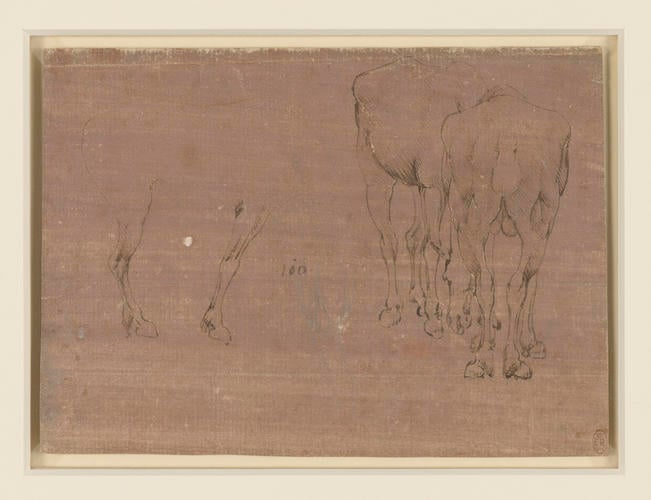 Studies of horses Studies of horses