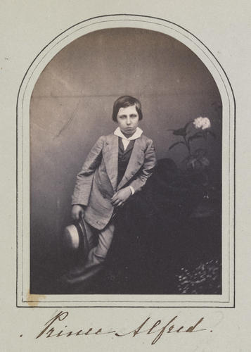 'Prince Alfred' 'Prince Alfred'
